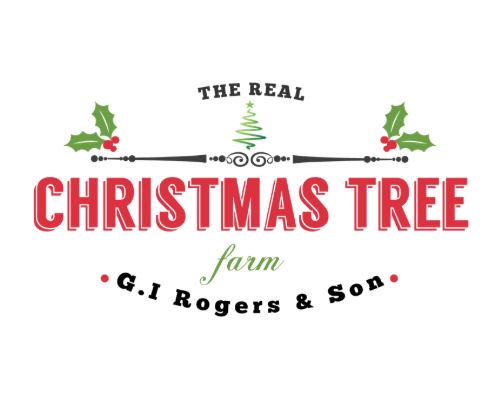 Screenshot 2026-01-08 at 15.37.08